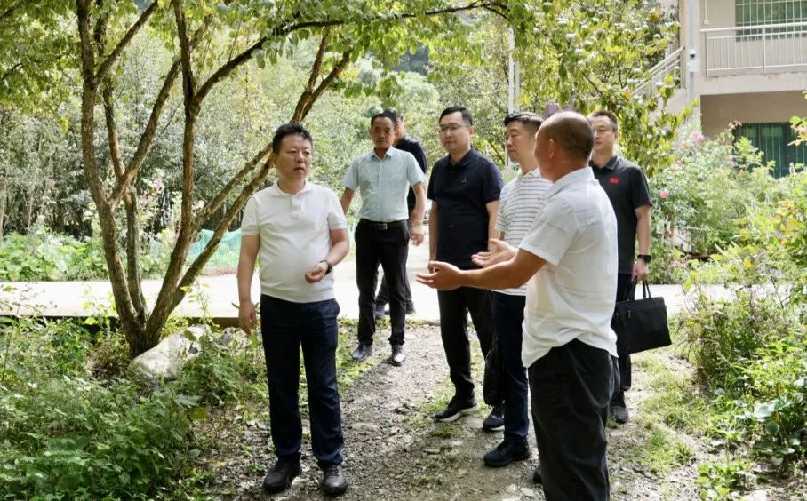 山东调研1.jpg