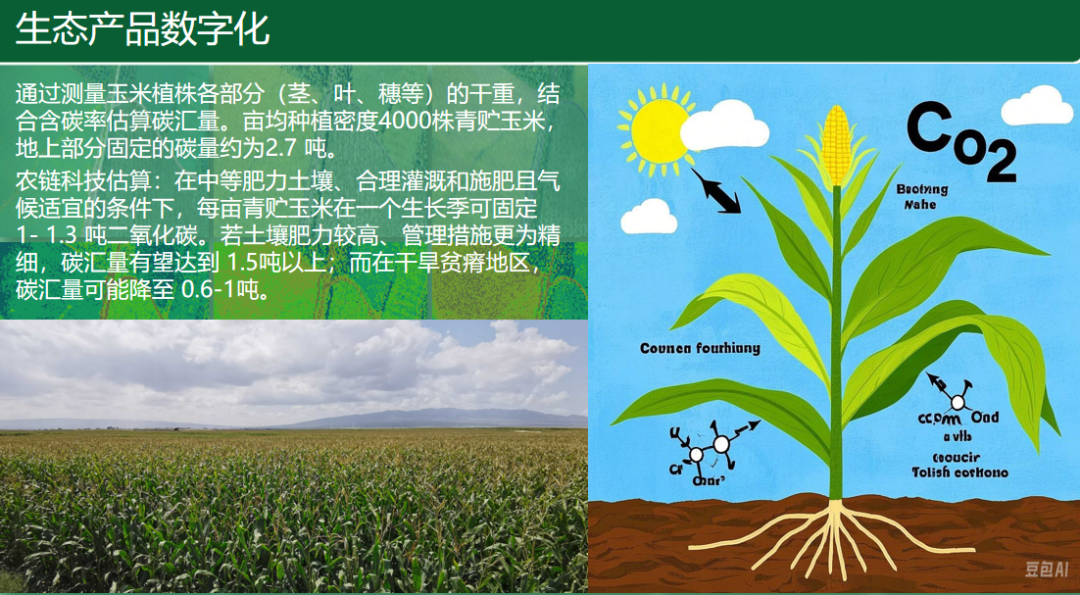 分享会6.png
