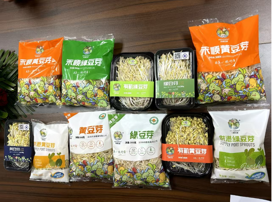 芽苗菜5.png