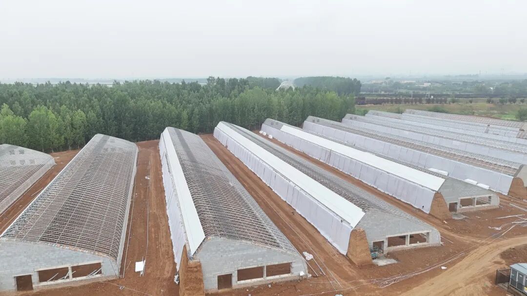 智能温室3.jpg