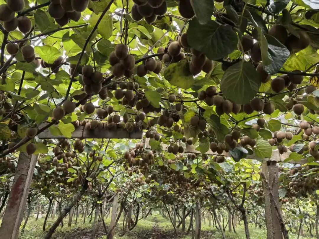 640 - 2025-12-22T102028.830.jpg