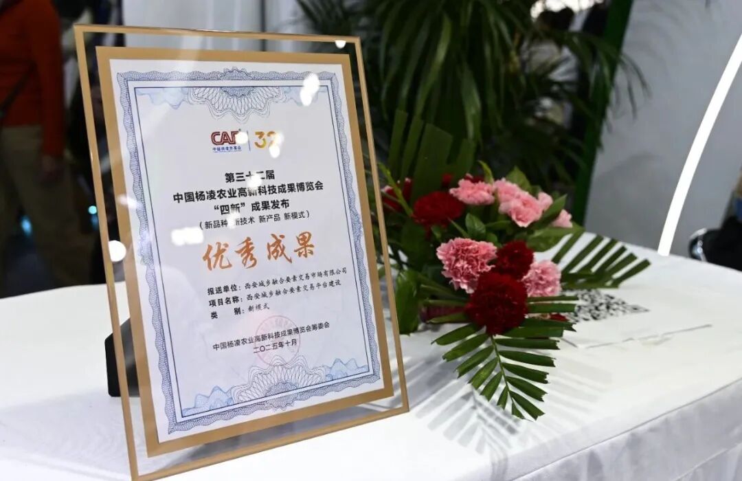 640 - 2025-12-22T102737.379.jpg