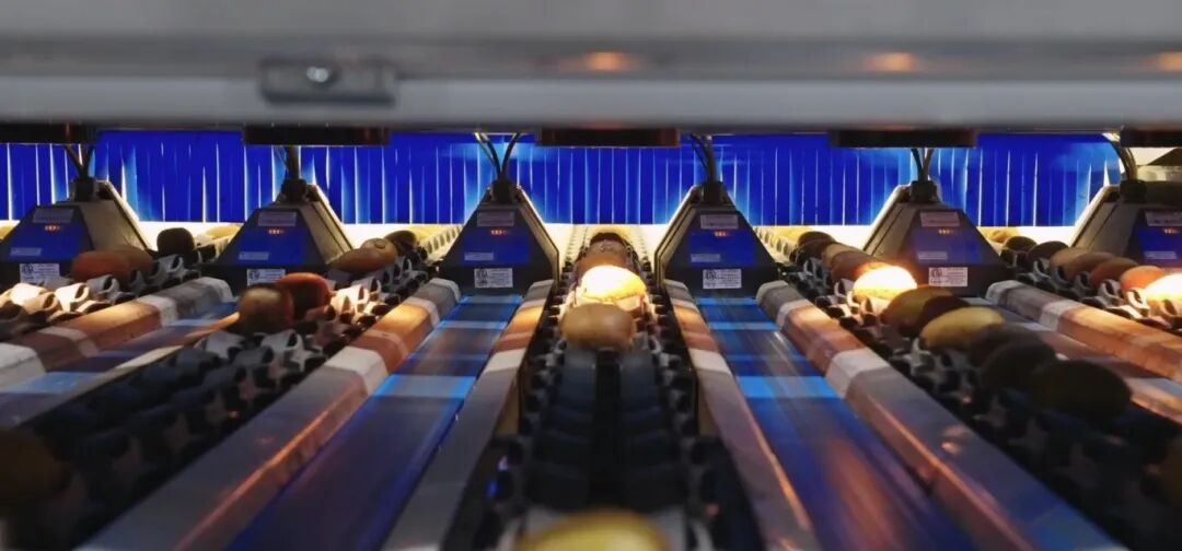 640 - 2025-12-22T104354.585.jpg