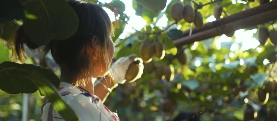 640 - 2025-12-22T104358.975.jpg