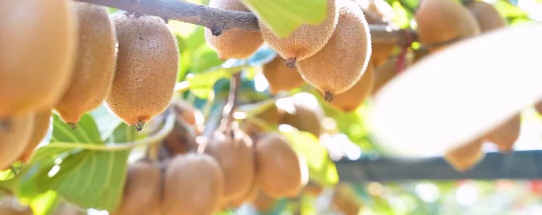 640 - 2025-12-22T105945.490.jpg