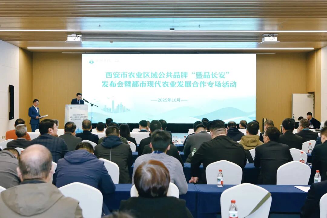 640 - 2025-12-22T110725.041.jpg