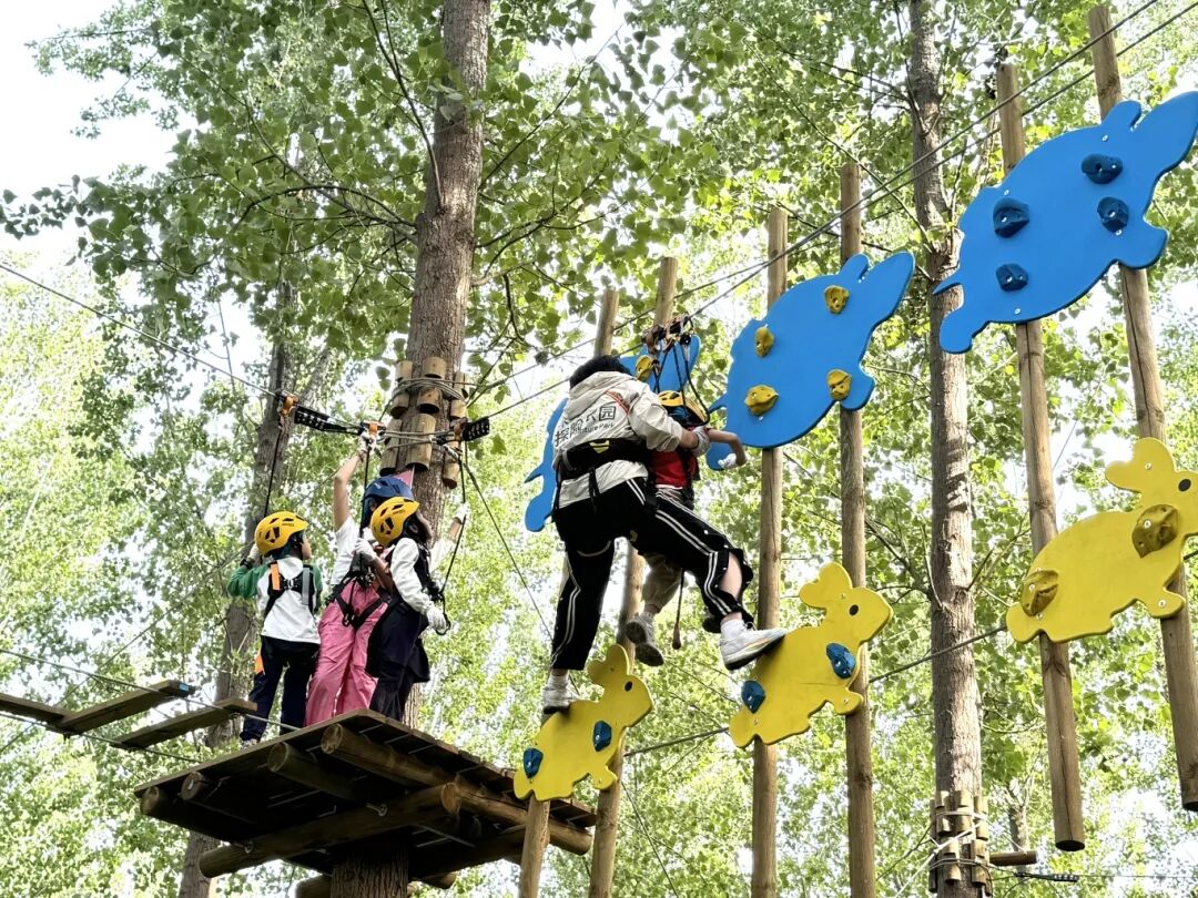 640 - 2026-01-23T093455.943.jpg