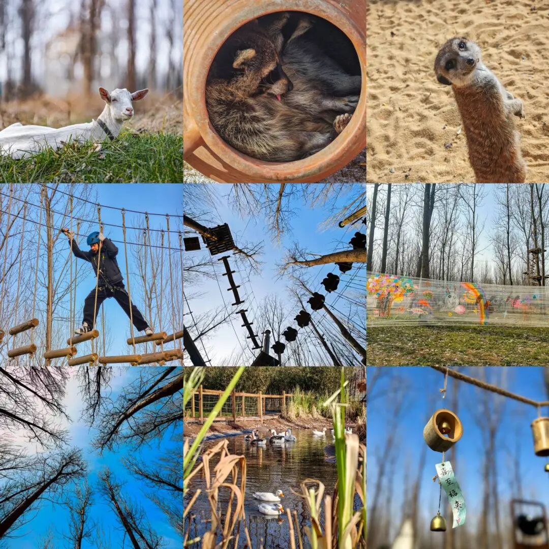 640 - 2026-01-23T101257.984.jpg