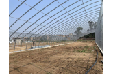 马额街办农业生物示范园项目施工接近尾声