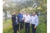 深圳壹加捌集团一行莅临集团进行项目考察调研