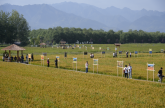“稻田研学+探险狂欢”西安农投双节期间农文旅融合成果显著 双IP人气爆棚!