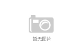 集团组织专家赴下属子公司开展安全生产检查